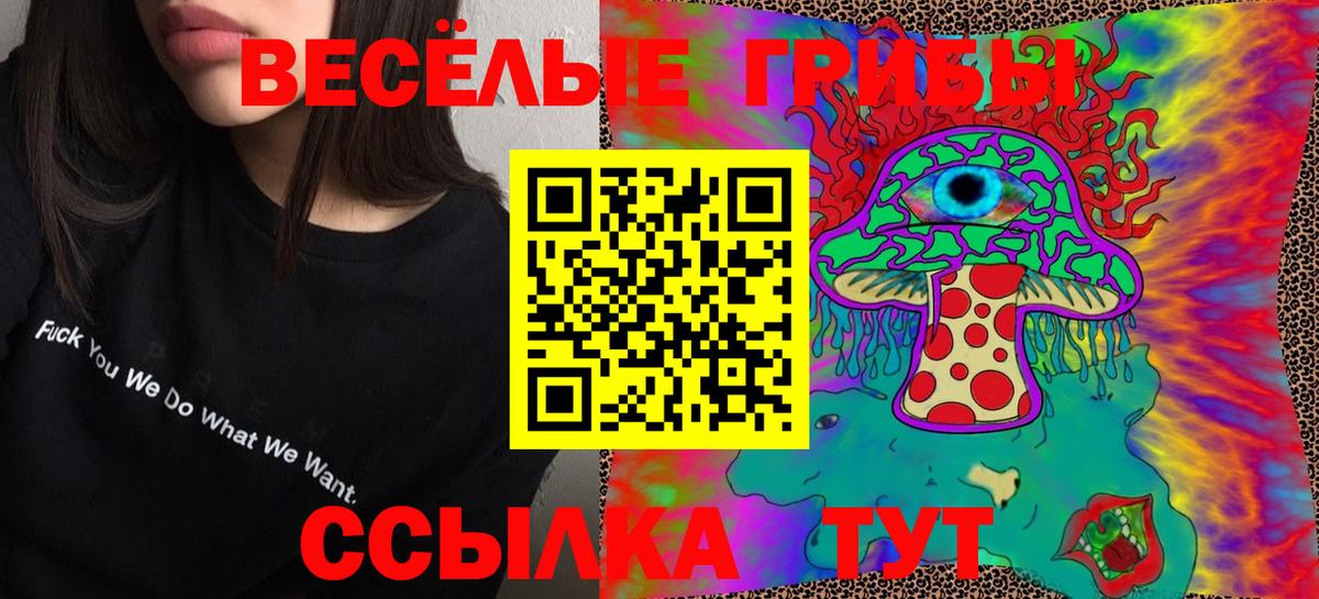 Галлюциногенные грибы ЛСД  Вход с VPN  сколько стоит  Дзержинск  Галлюциногенные грибы ЛСД 